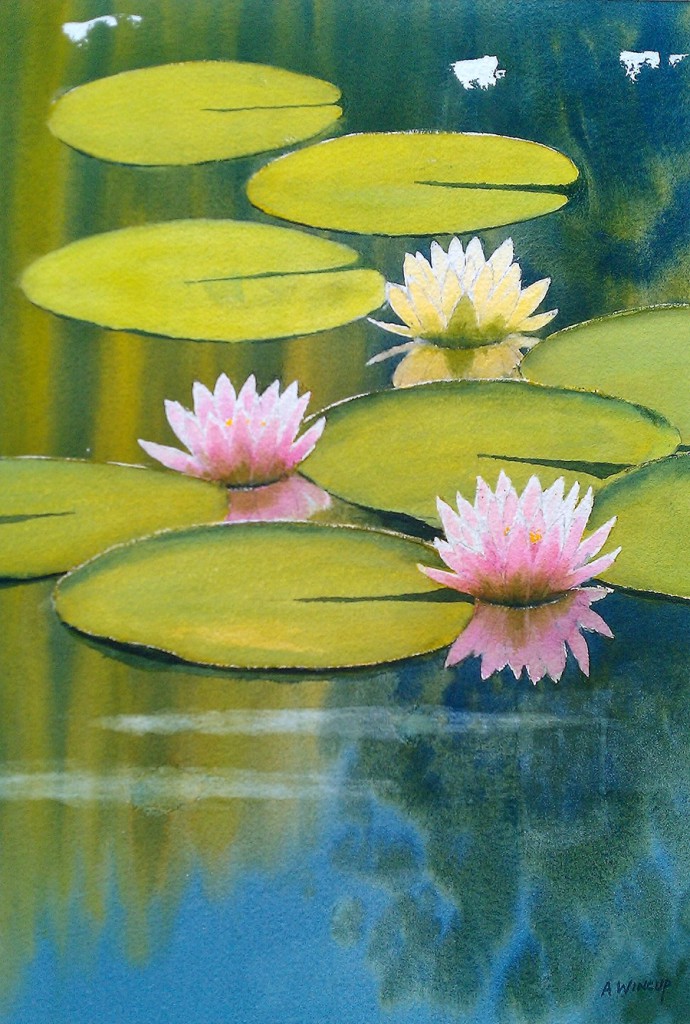 Water Lilies_Adrian Wincup Giverny